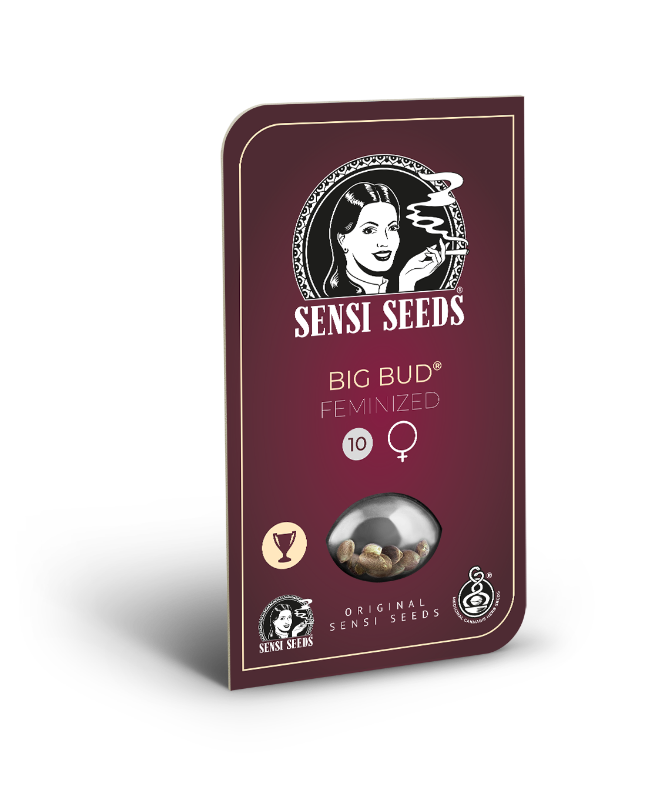 Sensi Seeds Big Bud - 3. Stück